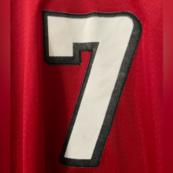 Mike Vick Atlanta Falcons jersey - Picture 6 of 8